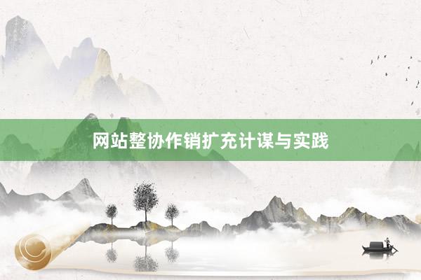 网站整协作销扩充计谋与实践